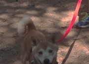 英雄联盟总决赛2025-血染的斗牛士，努涅斯一剑封喉，2026世界杯G组西班牙以王者之姿碾碎英格兰