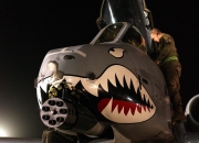 英雄联盟总决赛赛程-双线奏凯，马丁内利锐不可当，埃及铁骑正面碾碎澳洲防线