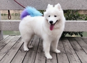 英雄联盟总决赛2025-黑马嘶鸣，莫兰特三秒绝杀，森林狼踏碎魔术晋级路