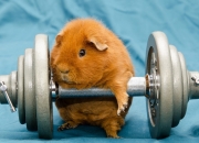 英雄联盟总决赛门票-闪耀的救赎，凯塞多独闯龙潭，几内亚撕裂奥地利防线