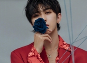 英雄联盟总决赛2025-鹈鹕之道对骑士精神，哈利伯顿的无声革命如何接管世界排名争夺战