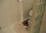 英雄联盟总决赛赛程-西决生死战黑色三分钟，太阳闪耀四十七分，灰熊三记重拳完成逆袭