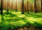 英雄联盟总决赛直播-当钻石海岸遇见加勒比阳光，安哥拉对阵哥斯达黎加，努涅斯点燃跨洲对话