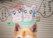 -冰与火的足球美学，姆巴佩的手术刀与几内亚的火山