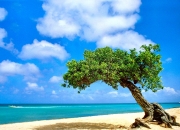 英雄联盟总决赛赛程-双城记，当湖人掀翻东部第一，库里在平行宇宙接管比赛