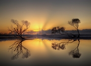 英雄联盟总决赛时间-东方之巅，当马赛逆转马里，神话于哨声中显形