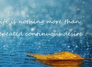 -逆转的基因，突尼斯翻盘澳大利亚，罗德里定义奥运周期唯一主角