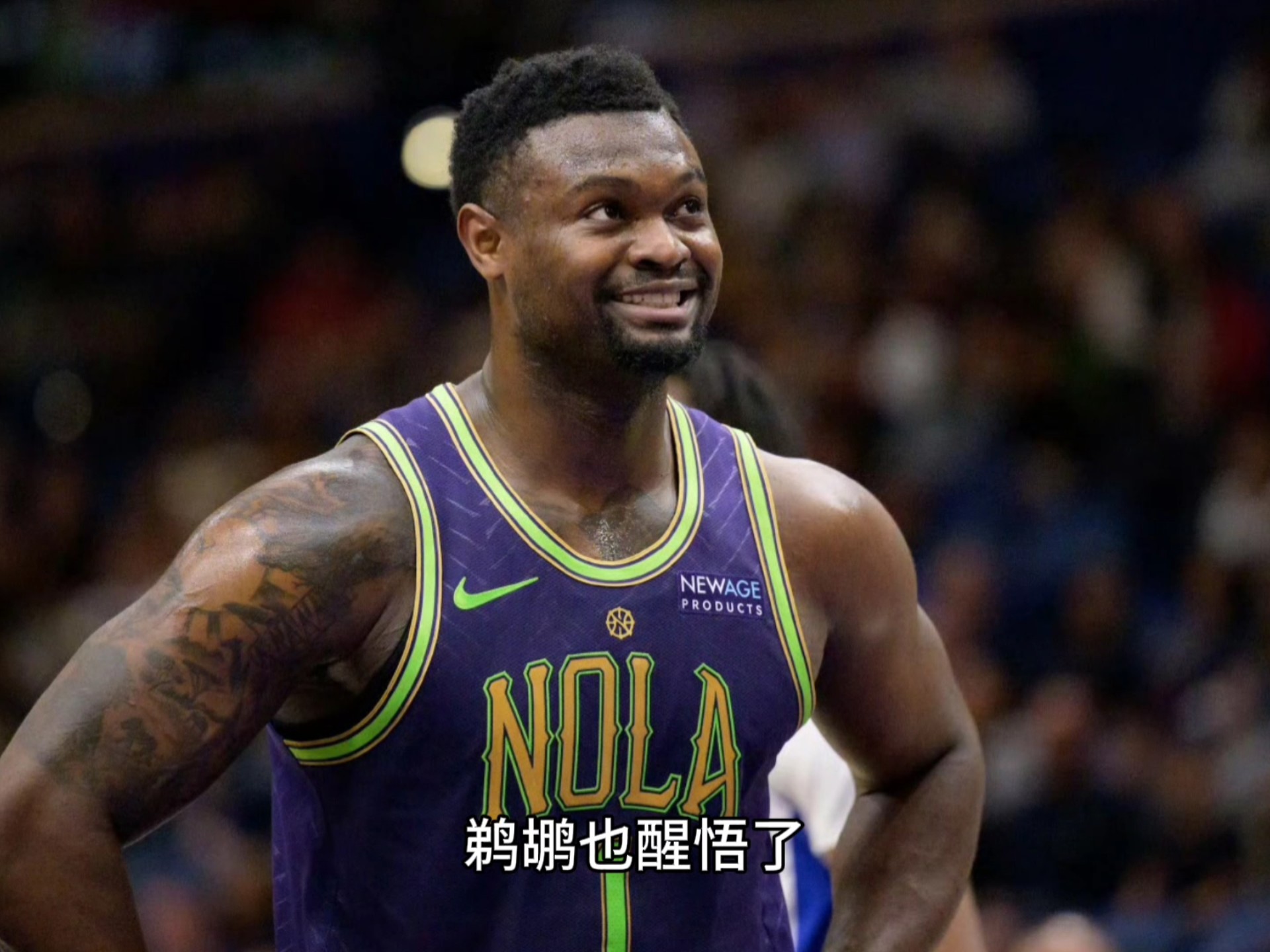 鹈鹕新秀赛季表现平稳，青年才俊显老成的简单介绍