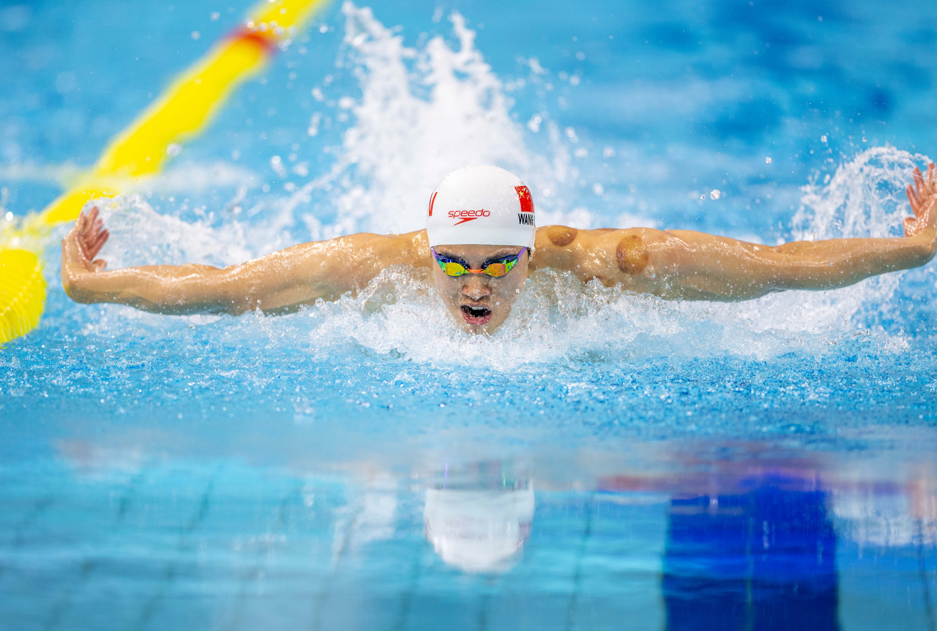 游泳冠军高水平表现,夺牌成功 游泳冠军高水平表现,夺牌成功