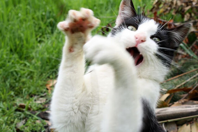 冰封时刻，英格拉姆筑起叹息之墙，广厦加时鏖战力擒雷霆