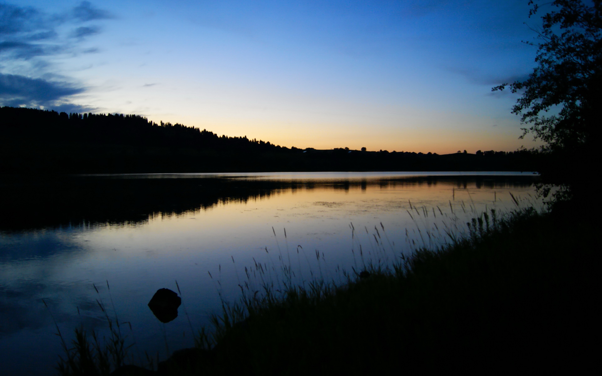 F1街道赛之夜，范弗利特，以轮胎为画笔的暗夜画师