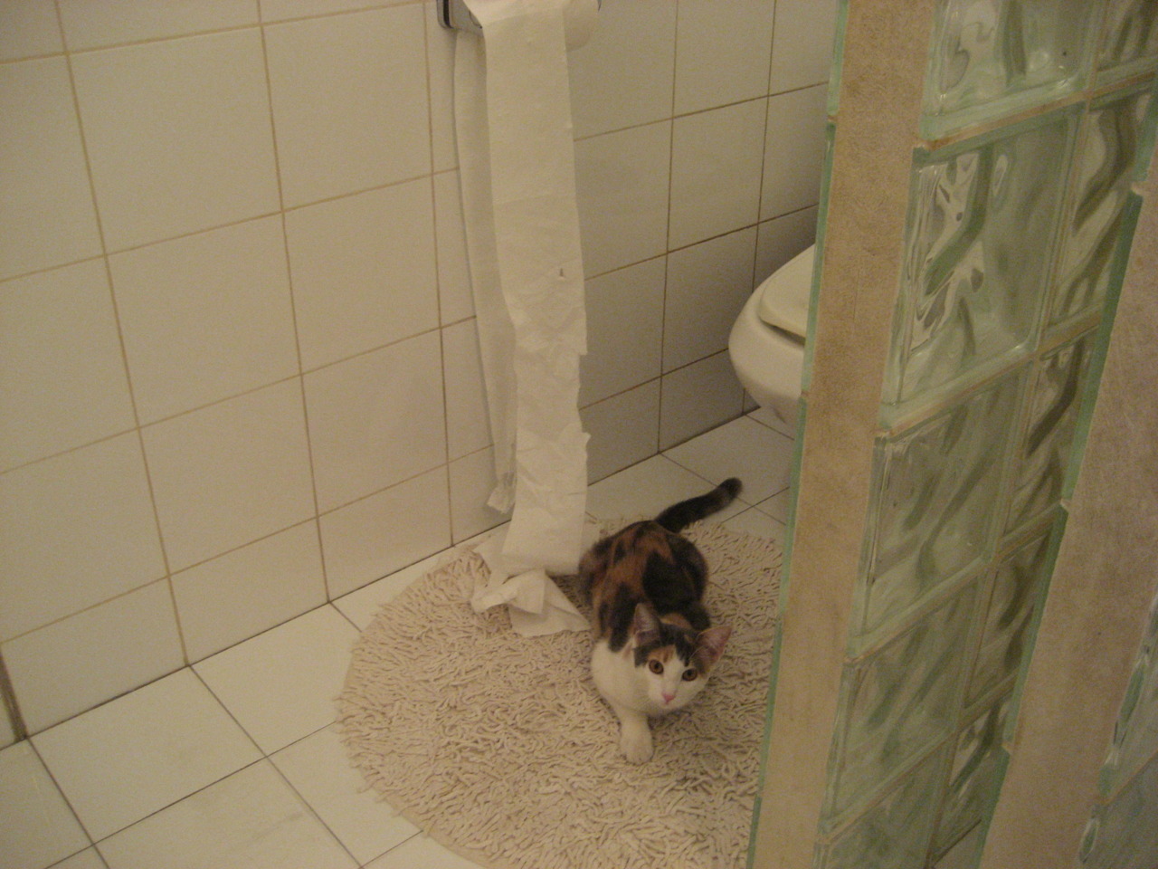 当悬念被提前扼杀，欧冠的窒息博弈与辽宁队的非典型胜利