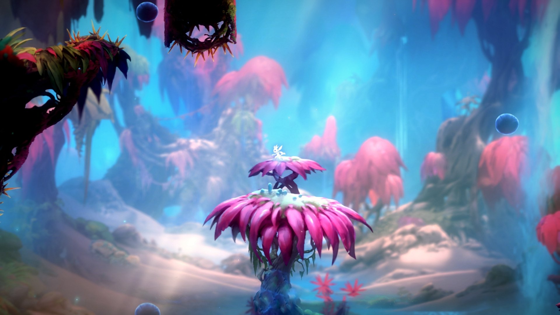 绝境重生，新疆队最后时刻险胜奇才，布克化身关键先生