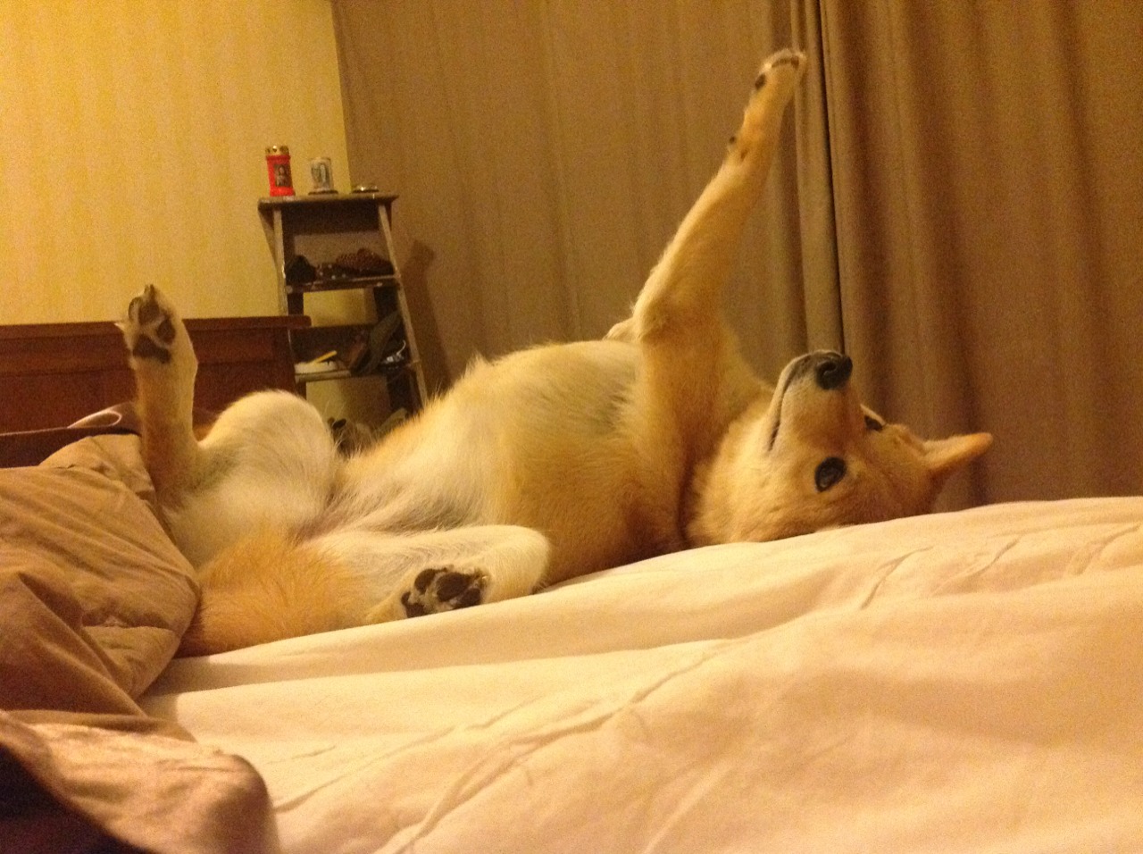 黄喜灿爆发+丹麦收割，莱比锡红牛的双引擎密码