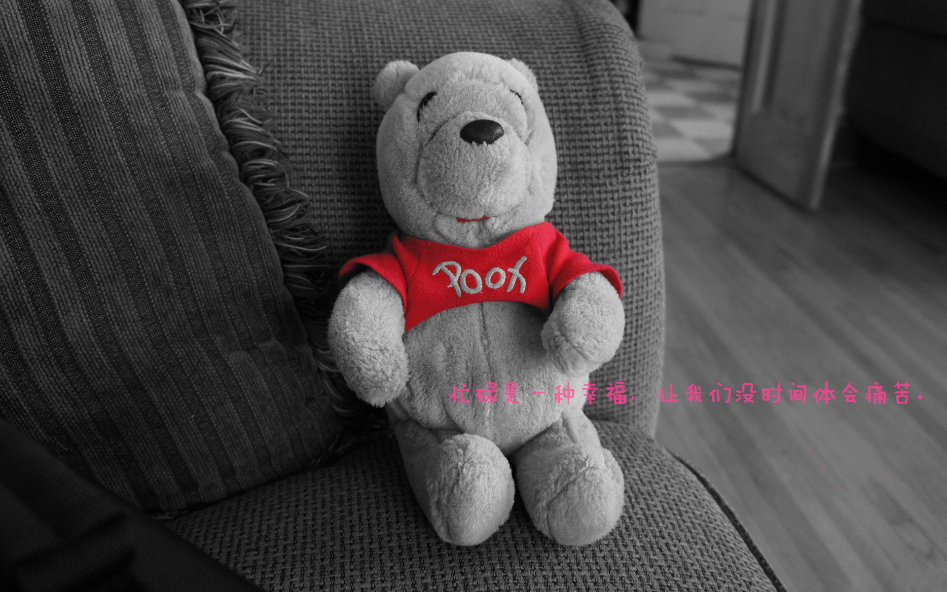 2026世界杯焦点战，公牛一波带走开拓者，跨界体育狂欢引爆全球