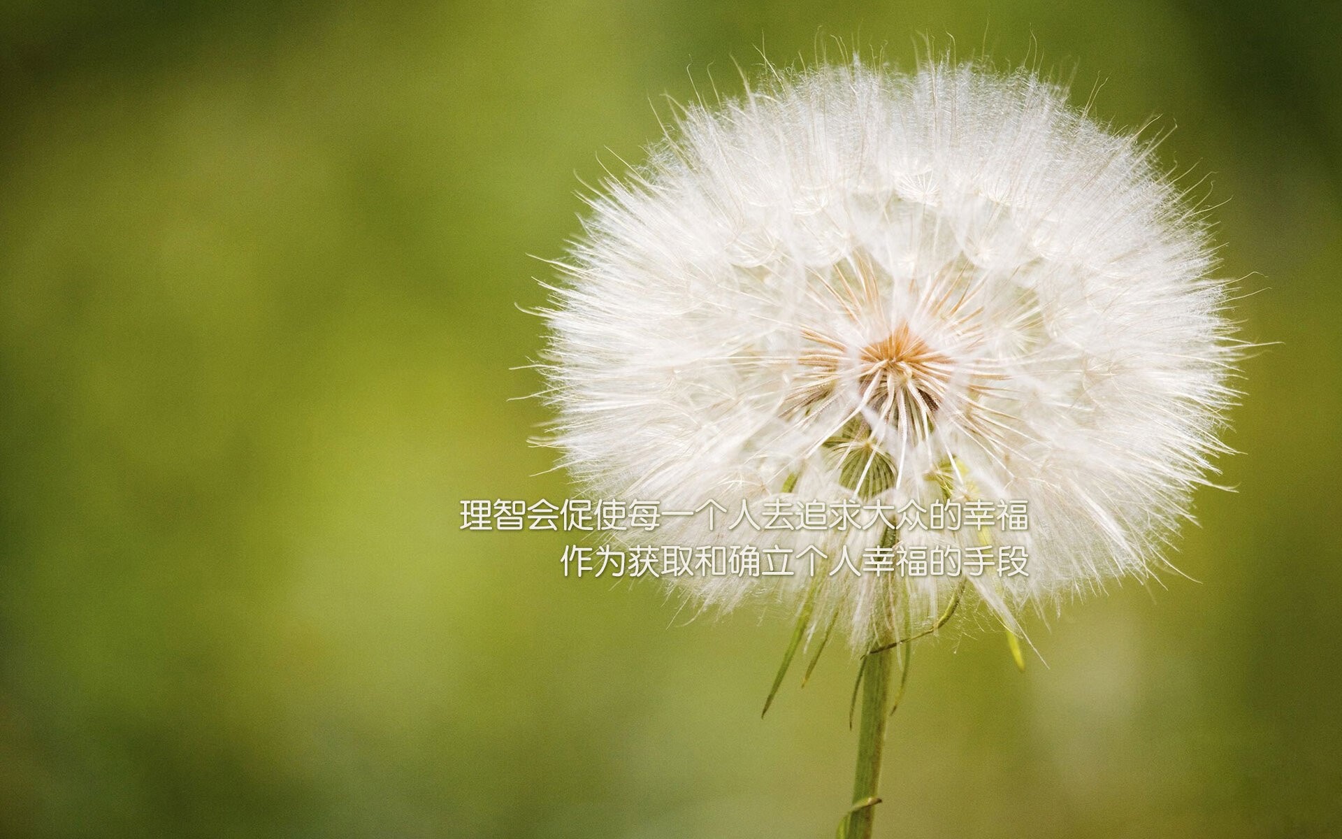 钢铁风暴吞没金球，特奥史诗级全程高能，绞碎对手灵魂核心