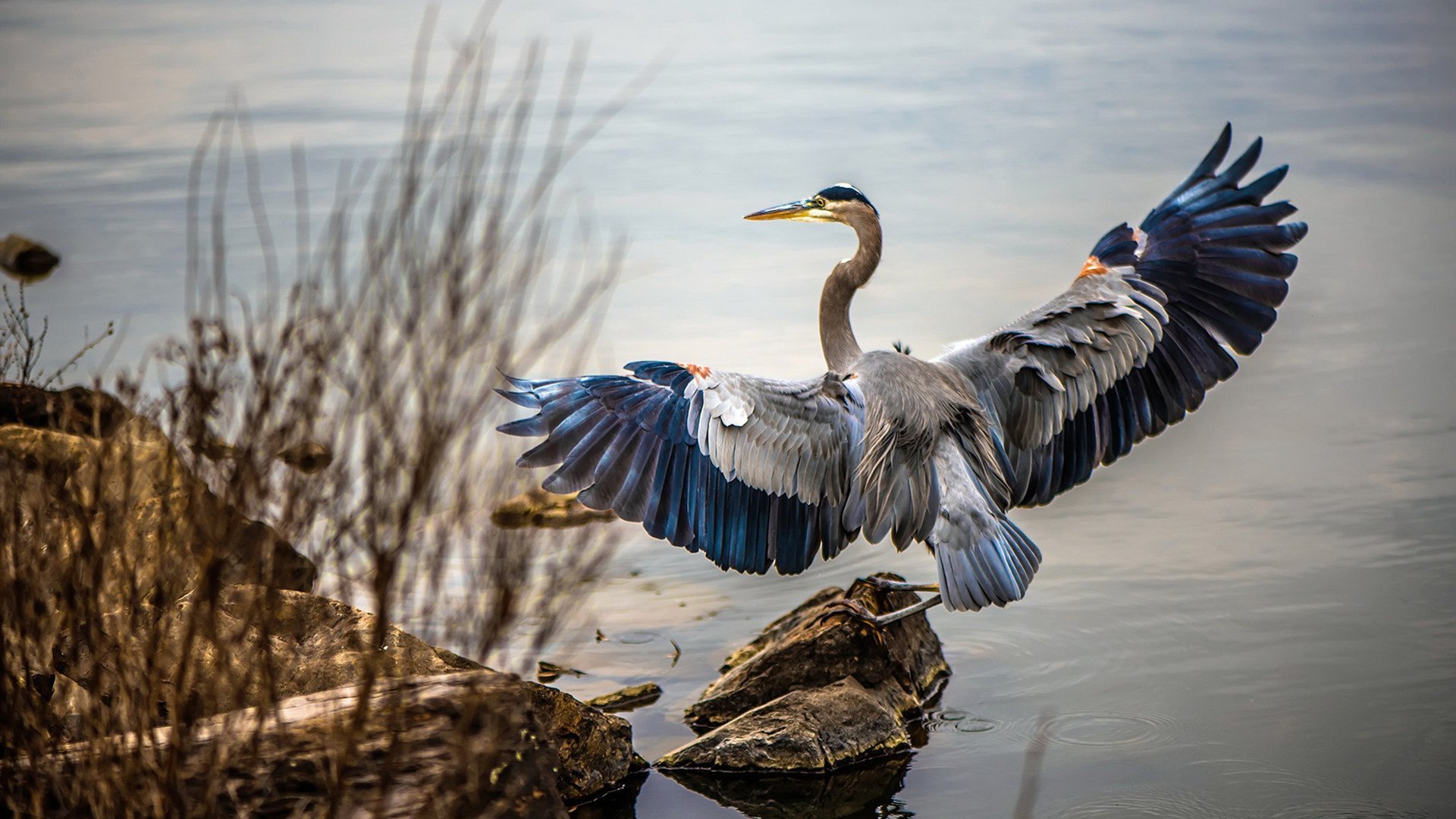 数据告诉你何为历史！4-1，世界排名100+的几内亚如何靠一个新楚阿梅尼掀翻墨西哥？