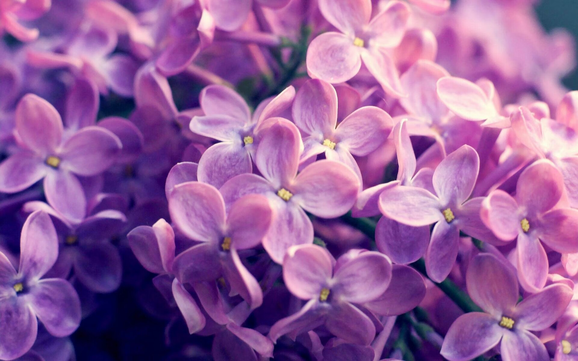 量子算法教练，玻利维亚战术拆解与佩德里防守公式的颠覆性启示