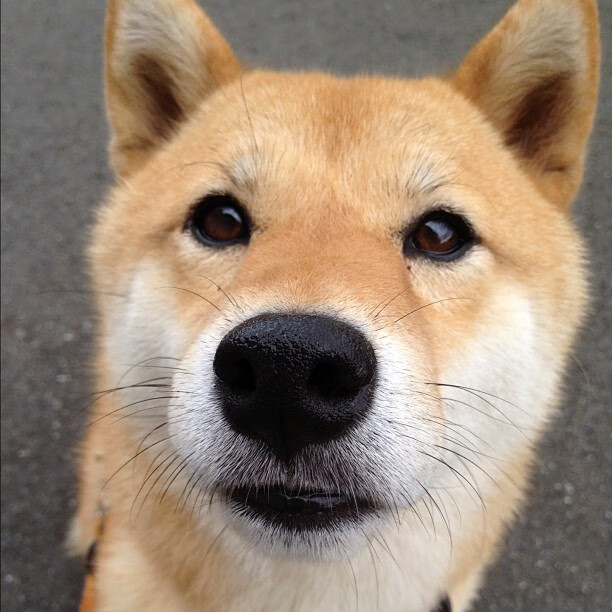 双线战争，轰鸣街道与寂静更衣室—亚特兰大的高压24小时