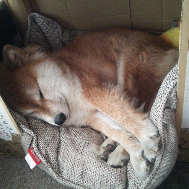 欧冠淘汰赛的南美风暴，特奥与乌拉圭双星联手主宰，米兰强势击溃拉齐奥