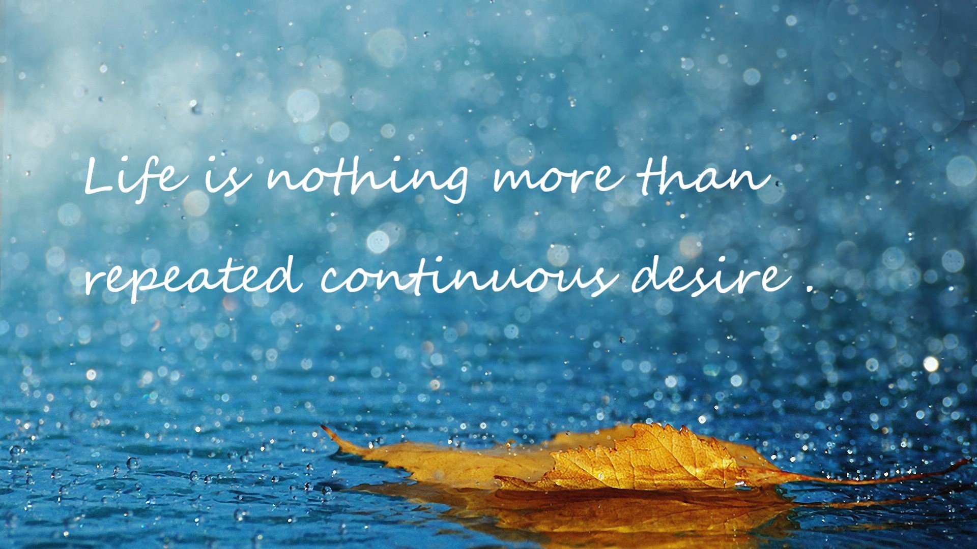 逆转的基因，突尼斯翻盘澳大利亚，罗德里定义奥运周期唯一主角