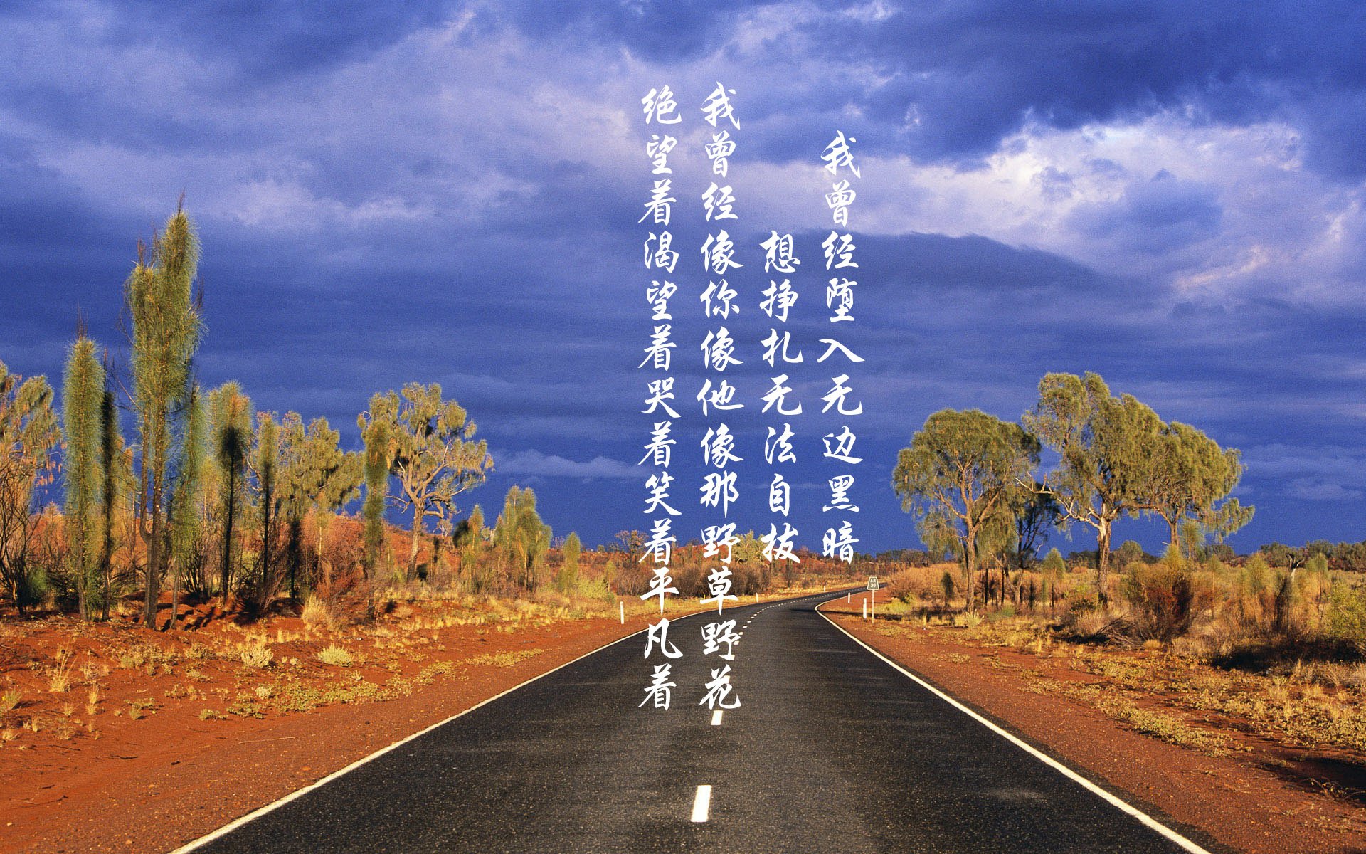 奇迹与眼泪，2026世界杯A组首战，越南绝杀卡塔尔，凯恩的孤胆英雄剧本