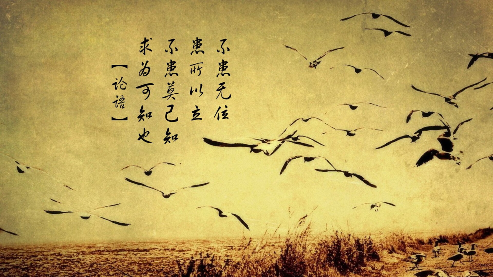 唯一的十字路口，当波兰的铁蹄踏过北欧，久保建英在C组写下自己的孤本