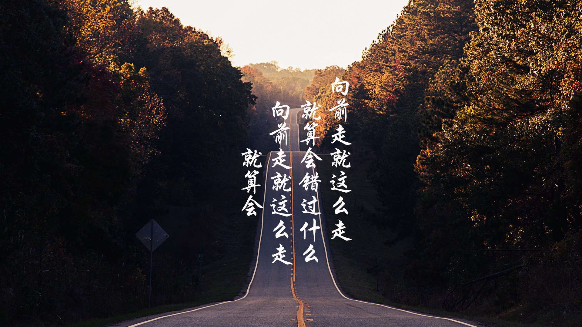 冷门之夜,温暖之心,泰国队如何在2026世界杯C组用默契与信念击碎瑞典神话