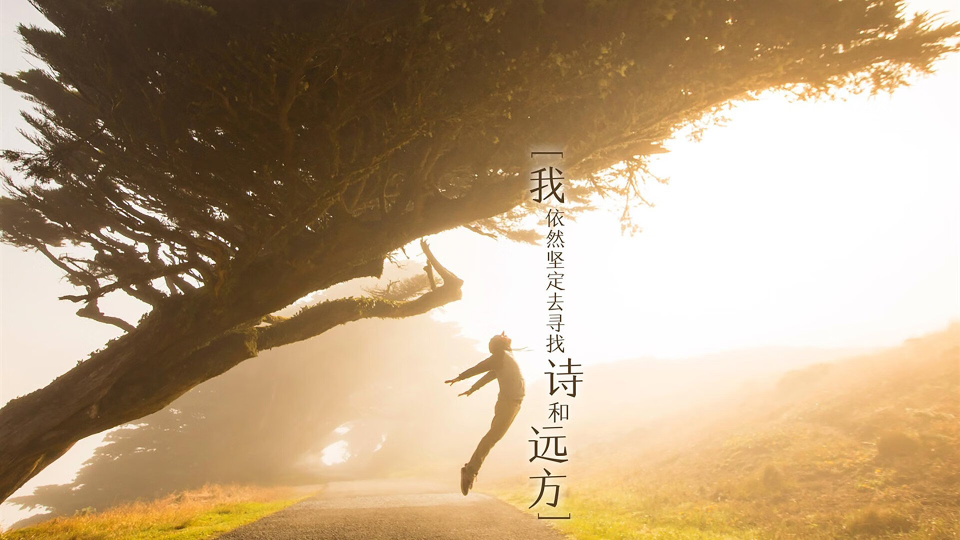 托纳利风暴,2026世界杯四分之一焦点战,乌拉圭以闪电反击完胜瑞士