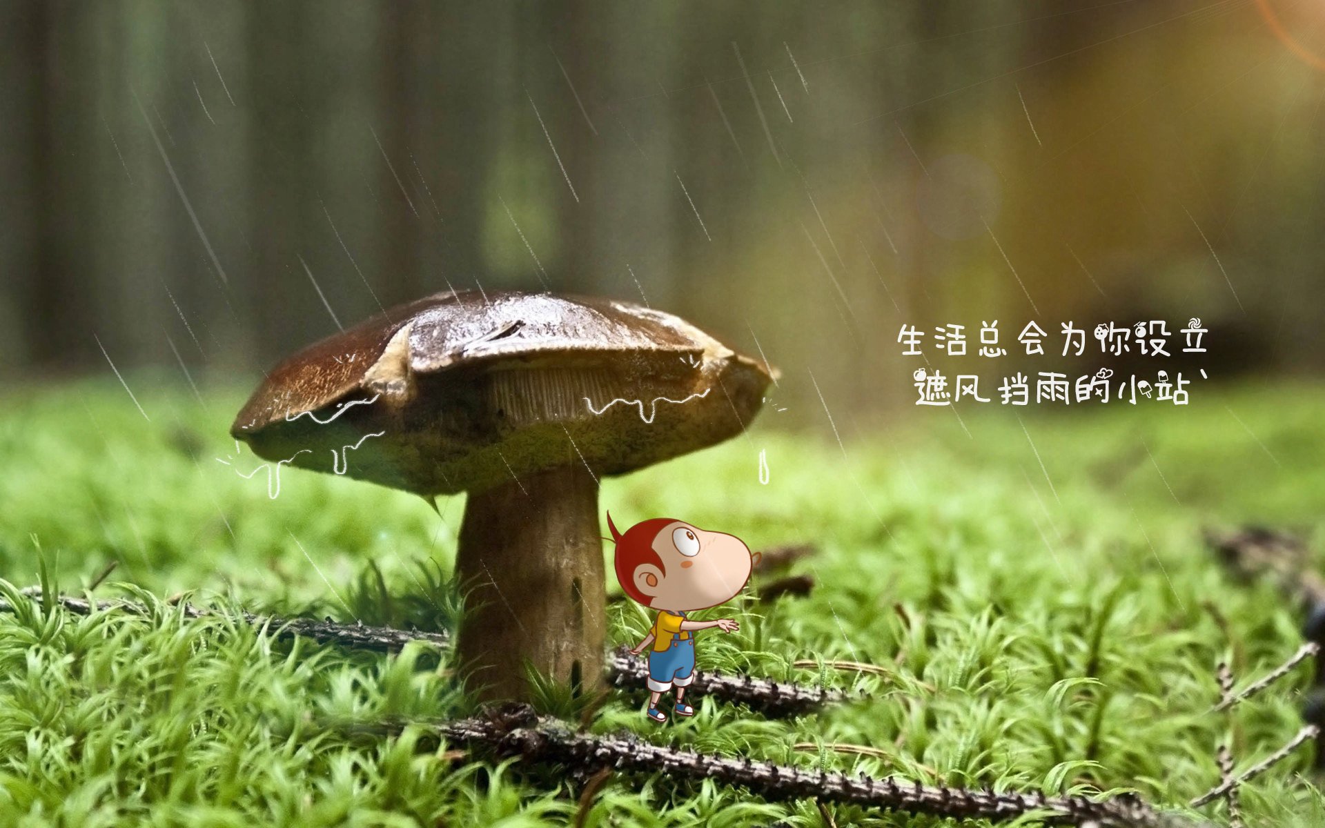 橙衣风暴里的孤勇者，当费利克斯的锋芒刺穿郁金香防线
