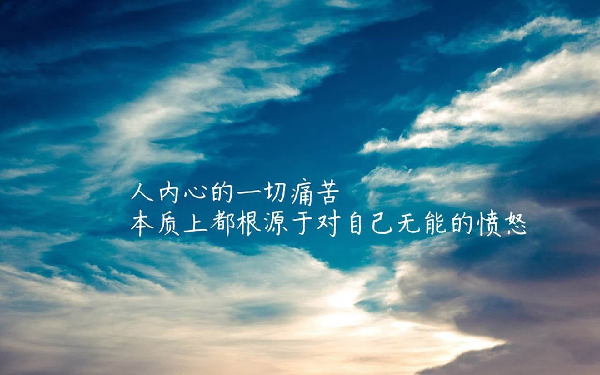 卢卡库的红色闪电，当阿根廷的探戈遭遇越南的竹阵，2026半决赛上演世界杯最不可思议的默契